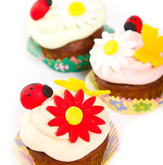  festa-di-compleanno-coccinella-bambini-muffin-cupcakes