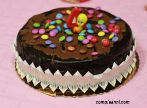 torta-12-cucchiai-cioccolato-smarties-feste-compleanno-bambini
