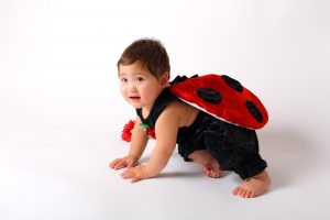 Festa a tema Lady Bug